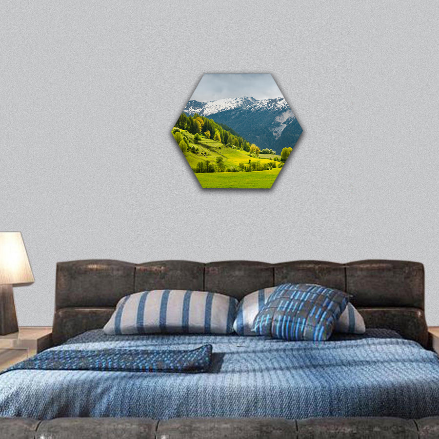 Breathtaking view over summer in alpine Switzerland hexagonal canvas wall art