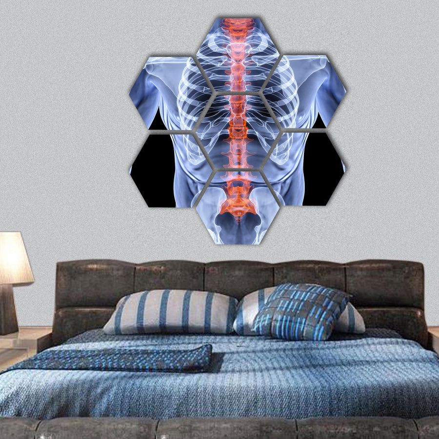 Torso men under X-rays hexagonal canvas wall art