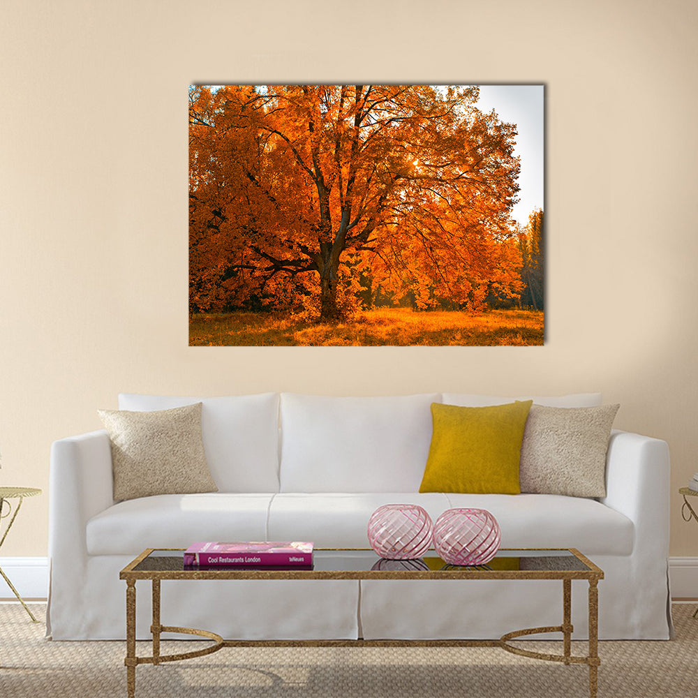 Autumn tree Multi panel canvas wall art