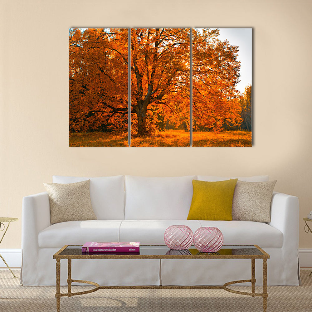 Autumn tree Multi panel canvas wall art