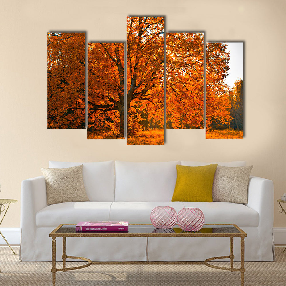 Autumn tree Multi panel canvas wall art