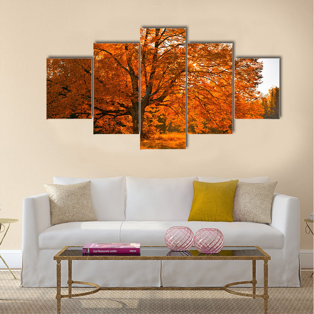Autumn tree Multi panel canvas wall art