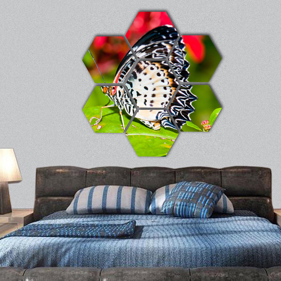 Beautiful butterfly on green screen, Thailand hexagonal canvas wall art