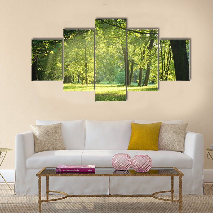 trees in a summer forest multi panel canvas wall art