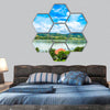 Beautiful landscape  on Danube river hexagonal canvas wall art