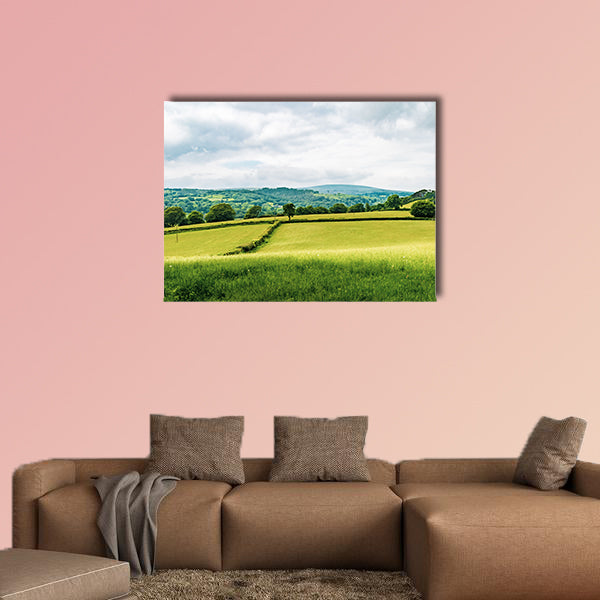 A view of the farmland inside Dartmoor National Park, wall art