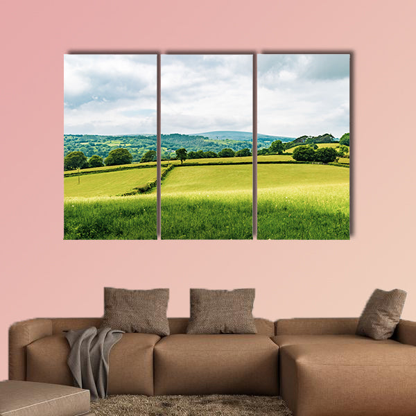 A view of the farmland inside Dartmoor National Park, wall art