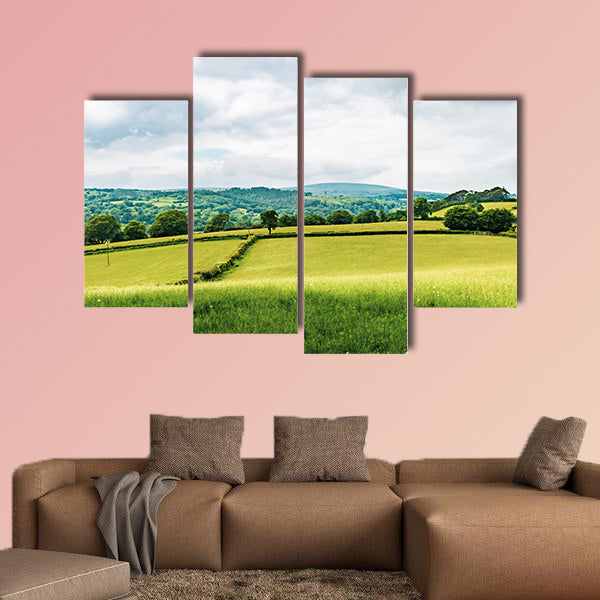 A view of the farmland inside Dartmoor National Park, wall art