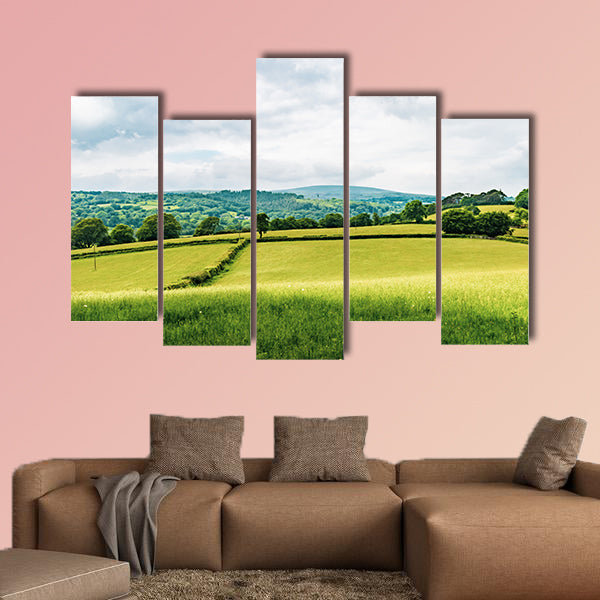 A view of the farmland inside Dartmoor National Park, wall art