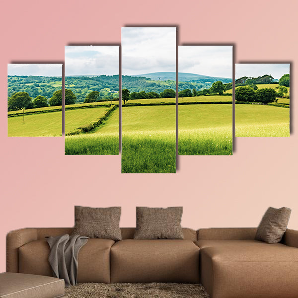 A view of the farmland inside Dartmoor National Park, wall art