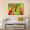 Beautiful butterfly drinking nectar from flower Multi Panel Canvas Wall Art