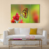 Beautiful butterfly drinking nectar from flower Multi Panel Canvas Wall Art