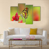 Beautiful butterfly drinking nectar from flower Multi Panel Canvas Wall Art