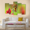 Beautiful butterfly drinking nectar from flower Multi Panel Canvas Wall Art