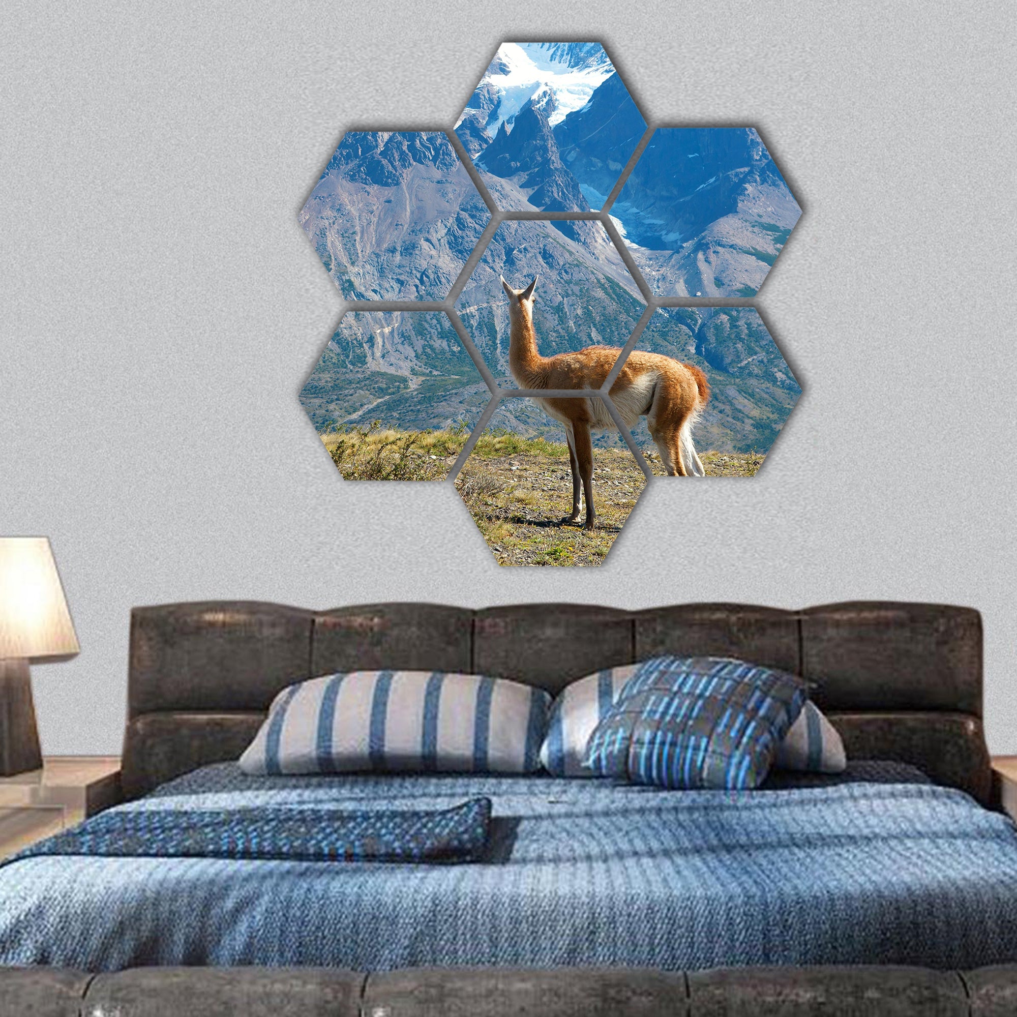 Guanaco in Torres del Paine national park hexagonal canvas wall art
