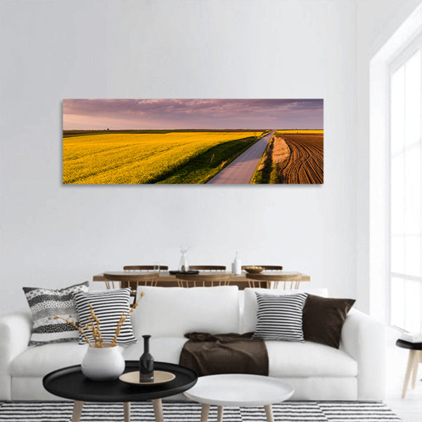 Canola, rape seed from a drone, agricultural landscape panoramic canvas wall art