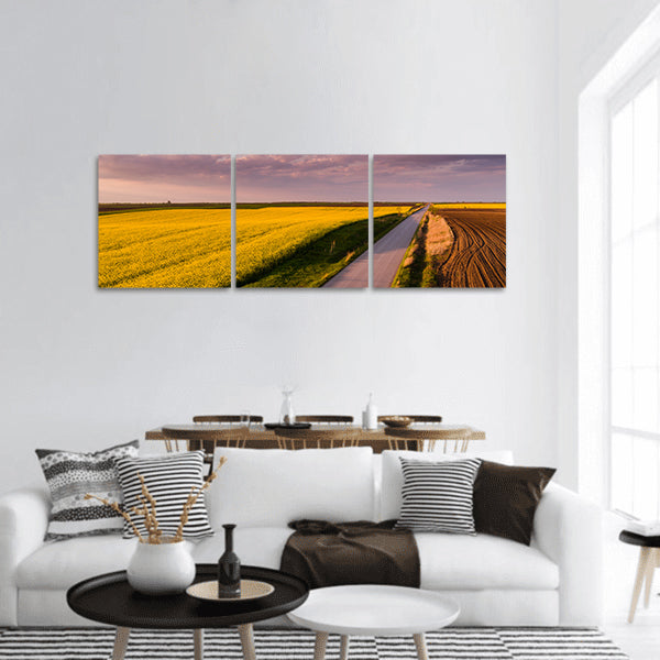 Canola, rape seed from a drone, agricultural landscape panoramic canvas wall art