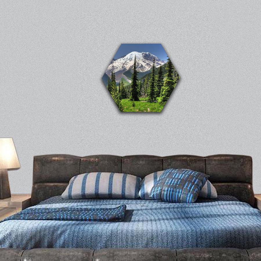 Portrait of Mt Rainier with green meadows and pine trees hexagonal canvas wall art
