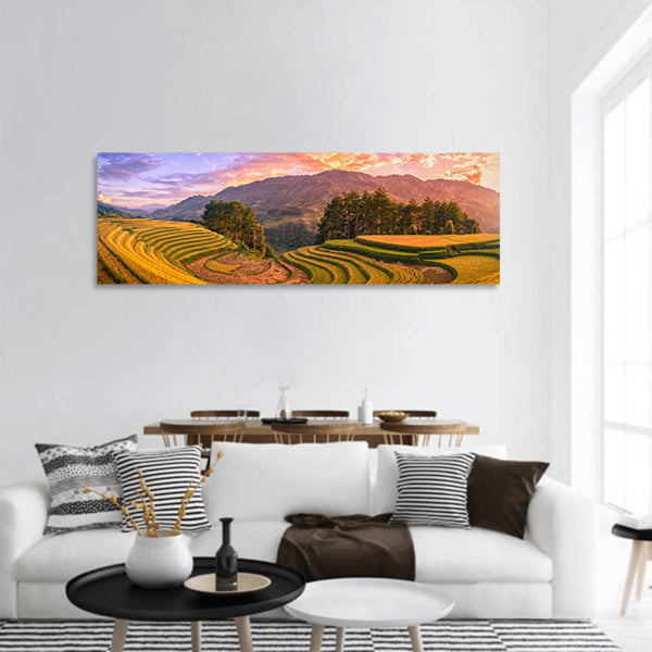 Rice fields with pine tree at sunset panoramic canvas wall art.