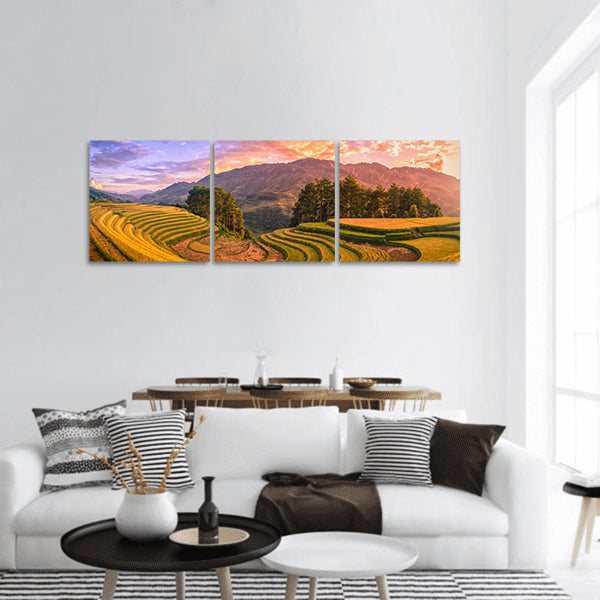 Rice fields with pine tree at sunset panoramic canvas wall art.