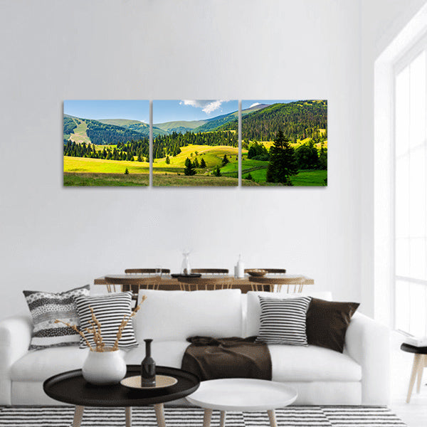 Haystack on grassy agricultural fields among spruce forest panoramic canvas wall art