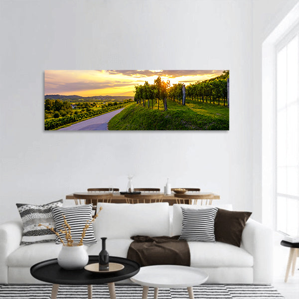 Sunset at vineyards of Vipava valley, Slovenia panoramic canvas wall art