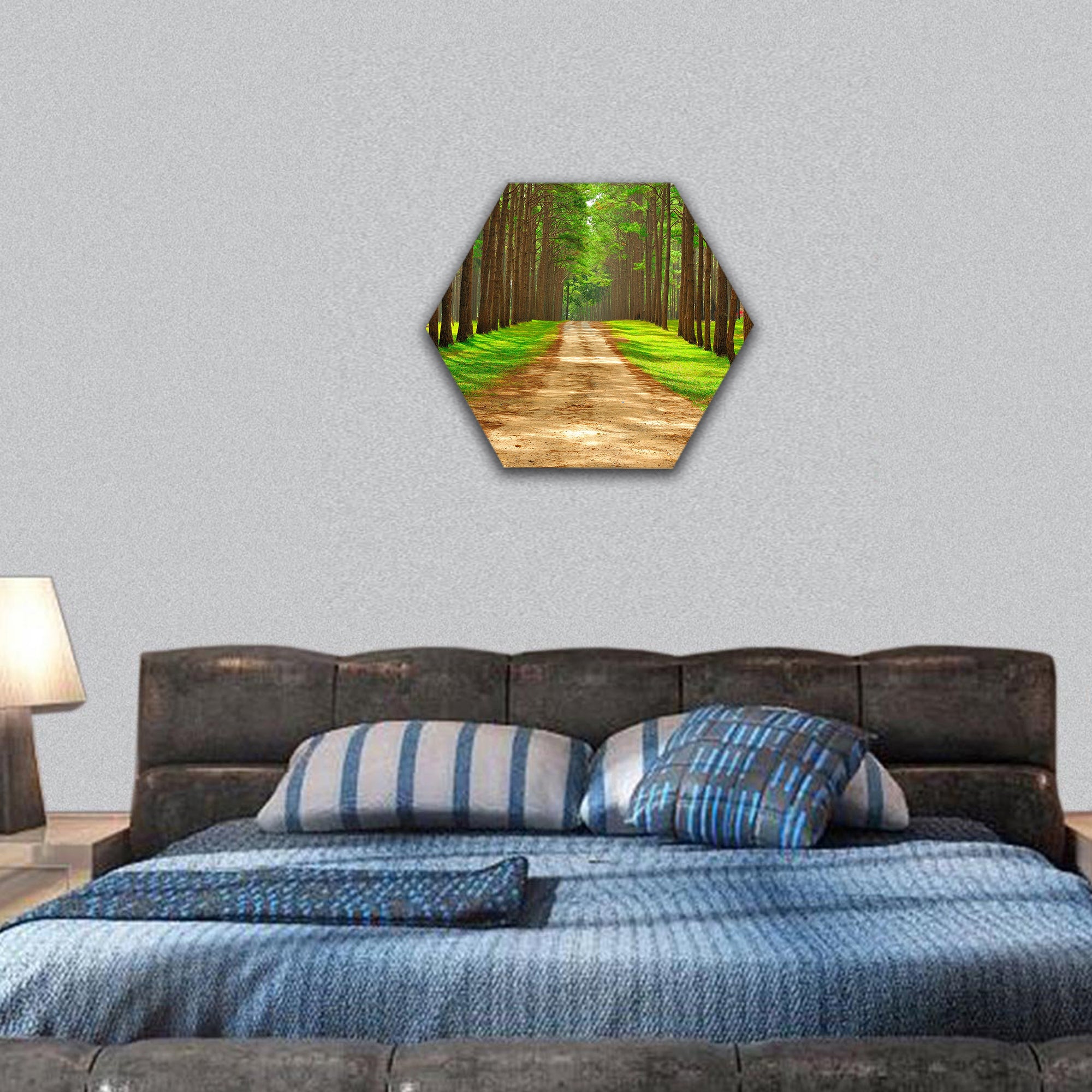 Pine forest taken in the morning at Thailand hexagonal canvas wall art
