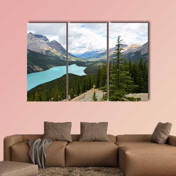 The Peyto Lake in Canada at a cloudy day Multi panel canvas wall art