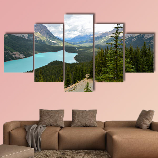 The Peyto Lake in Canada at a cloudy day Multi panel canvas wall art