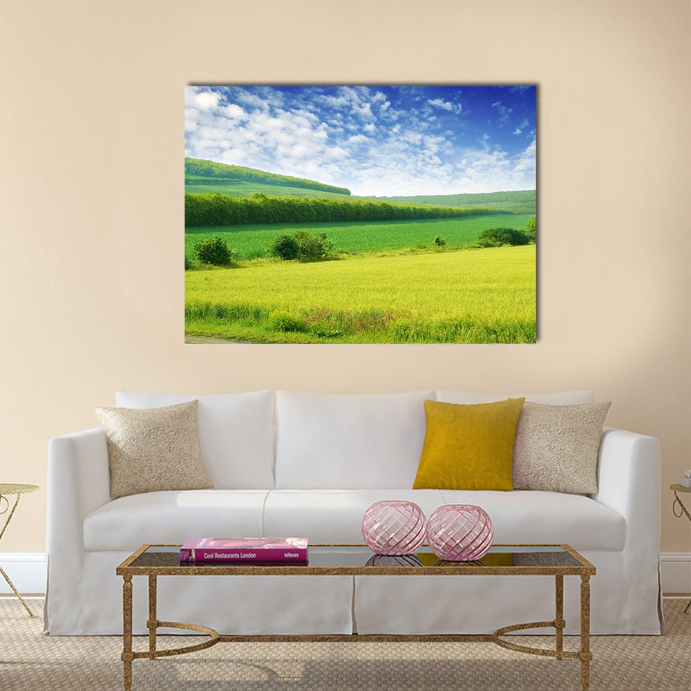 Green spring meadow and the beautiful blue sky Multi panel canvas wall art
