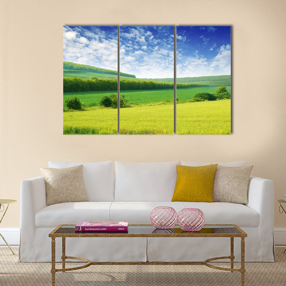 Green spring meadow and the beautiful blue sky Multi panel canvas wall art