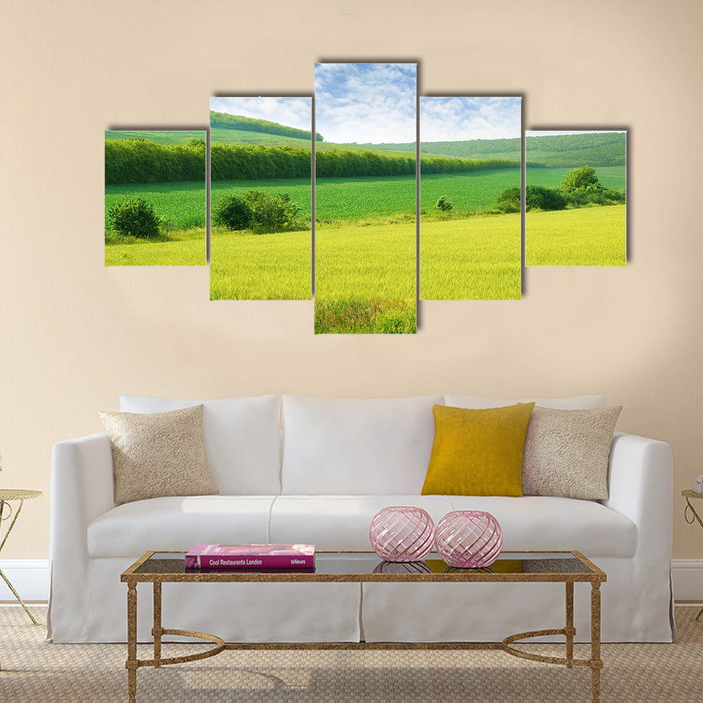 Green spring meadow and the beautiful blue sky Multi panel canvas wall art