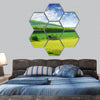 Green spring meadow and the beautiful blue sky hexagonal canvas wall art