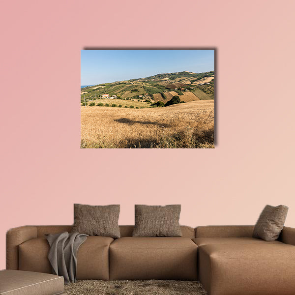 The panoramic view of olive groves and farms on rolling hills wall art