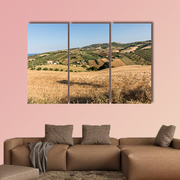The panoramic view of olive groves and farms on rolling hills wall art