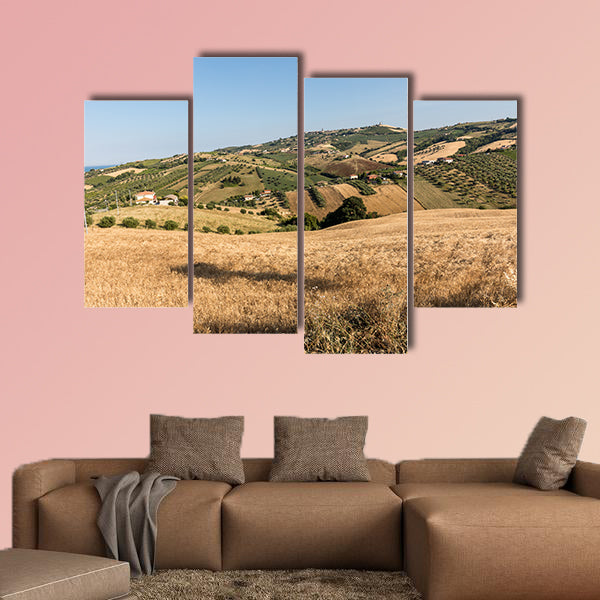 The panoramic view of olive groves and farms on rolling hills wall art