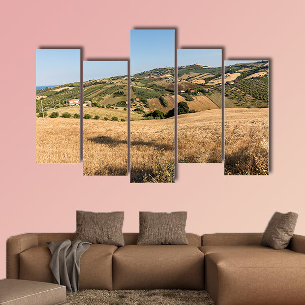 The panoramic view of olive groves and farms on rolling hills wall art