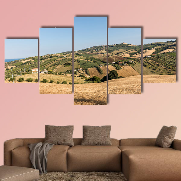 The panoramic view of olive groves and farms on rolling hills wall art