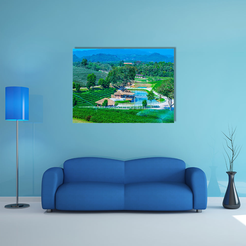 Tea plantation in Chiang Rai province, Thailand multi panel canvas wall art