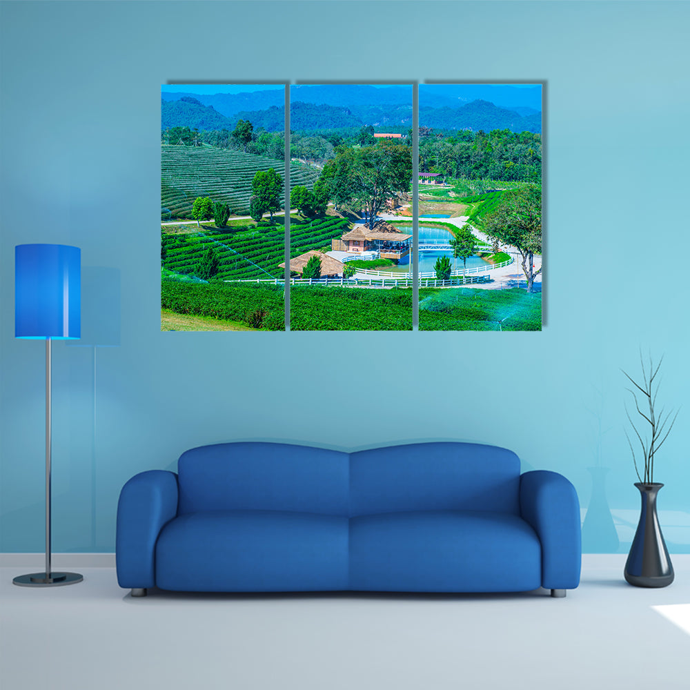Tea plantation in Chiang Rai province, Thailand multi panel canvas wall art