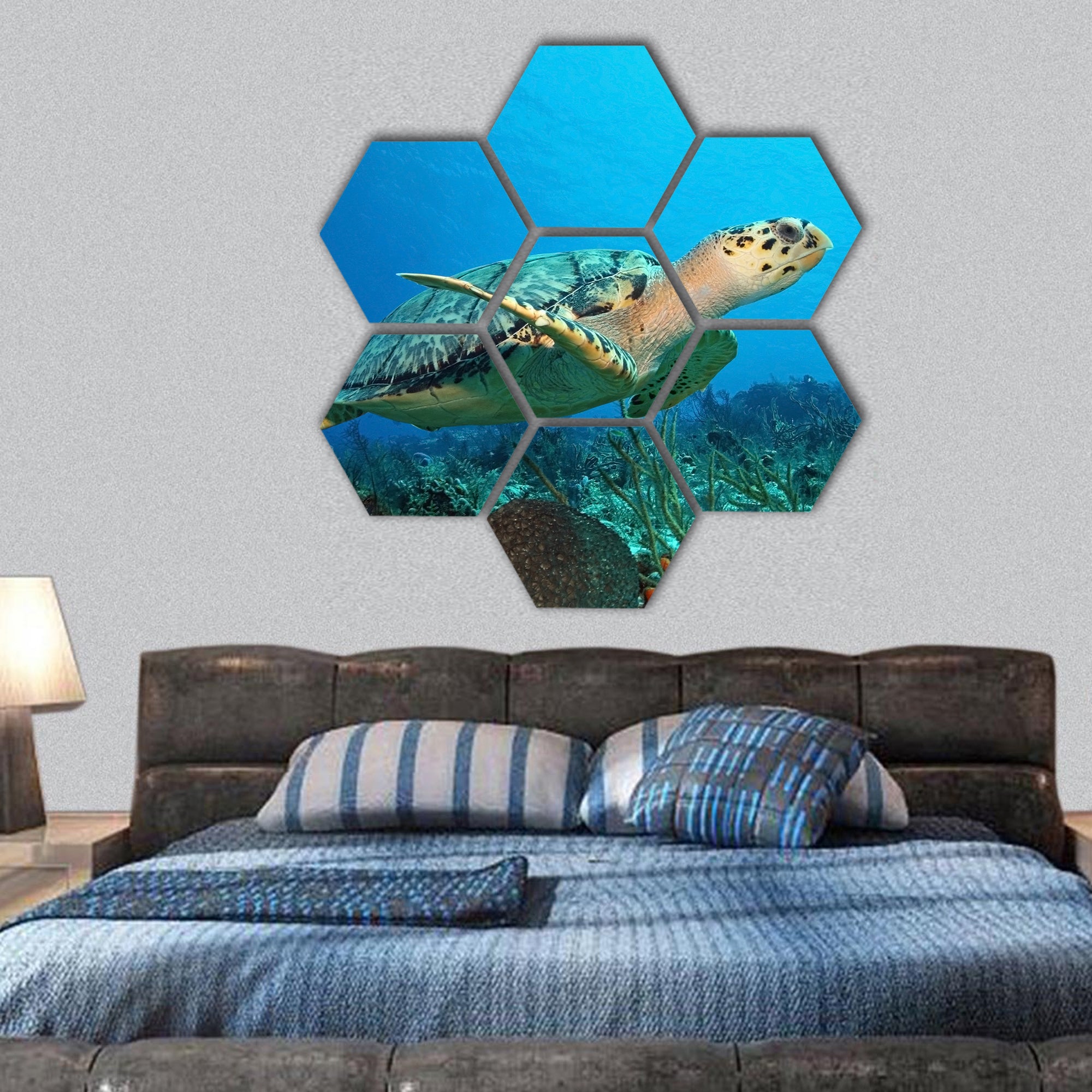 Hawksbill Turtle swimming over a coral reef, Mexico hexagonal canvas wall art