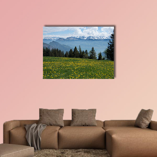 View of the Swiss Alps from Mount rigi with flowering dandelions wall art
