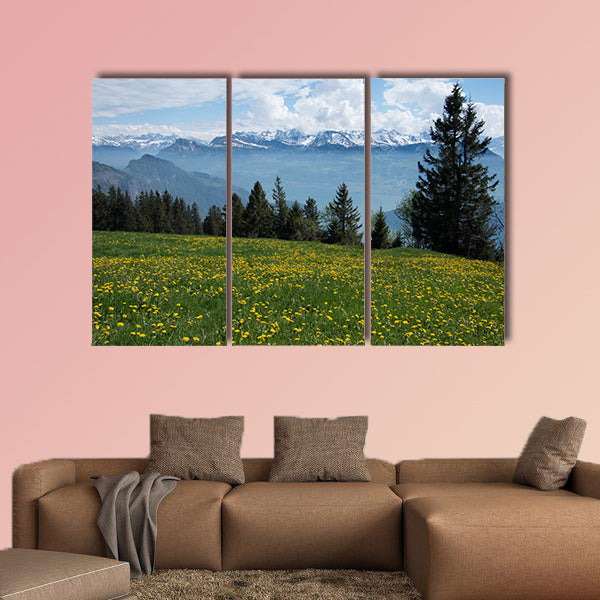 View of the Swiss Alps from Mount rigi with flowering dandelions wall art