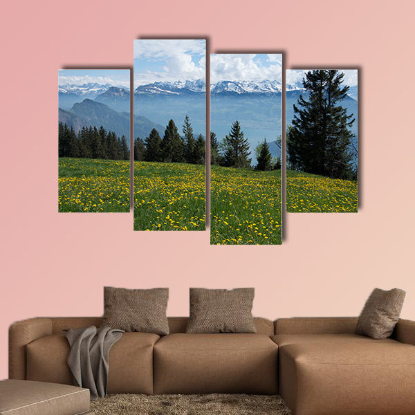 View of the Swiss Alps from Mount rigi with flowering dandelions wall art