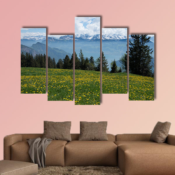 View of the Swiss Alps from Mount rigi with flowering dandelions wall art