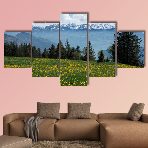 View of the Swiss Alps from Mount rigi with flowering dandelions wall art