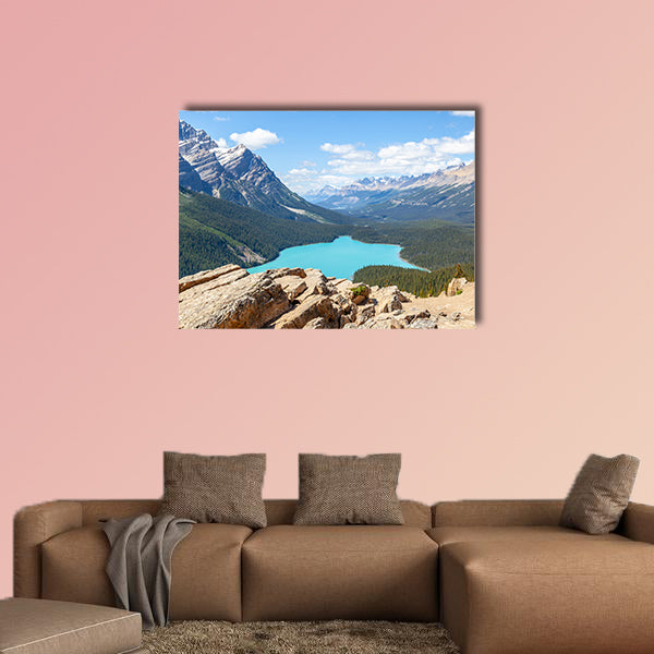Bow Summit in Banff National Park overlooking Peyto Lake wall art