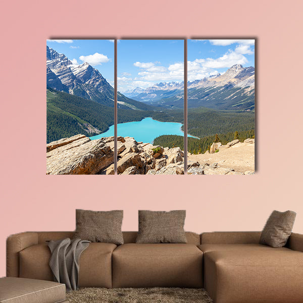 Bow Summit in Banff National Park overlooking Peyto Lake wall art