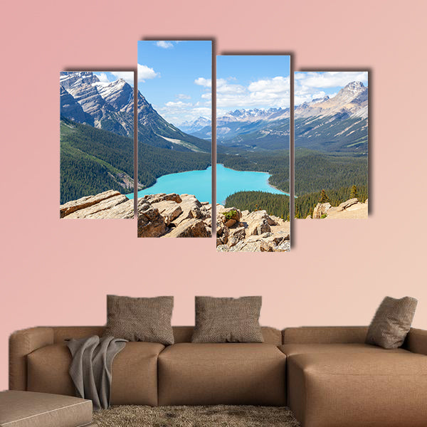 Bow Summit in Banff National Park overlooking Peyto Lake wall art