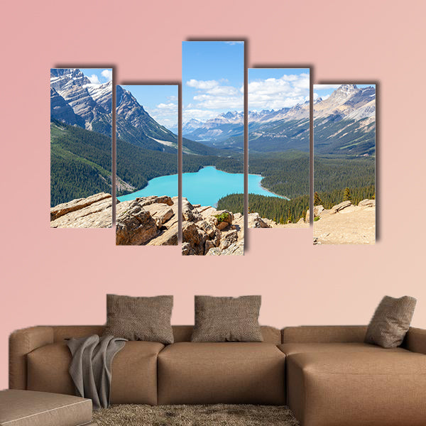 Bow Summit in Banff National Park overlooking Peyto Lake wall art